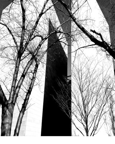 Statue through trees